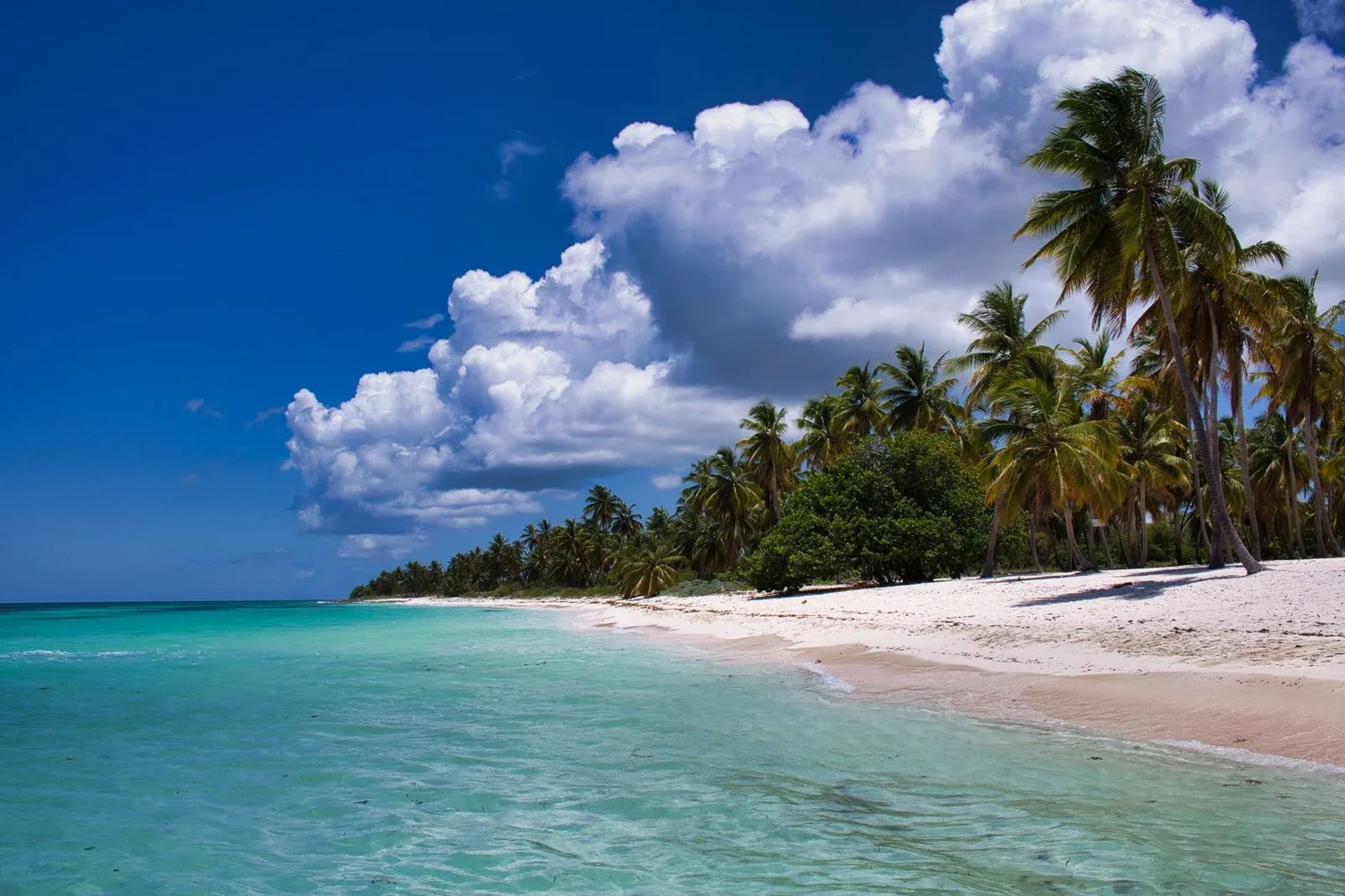Praia tropical com coqueiros, areia branca, mar turquesa e céu azul com nuvens brancas.